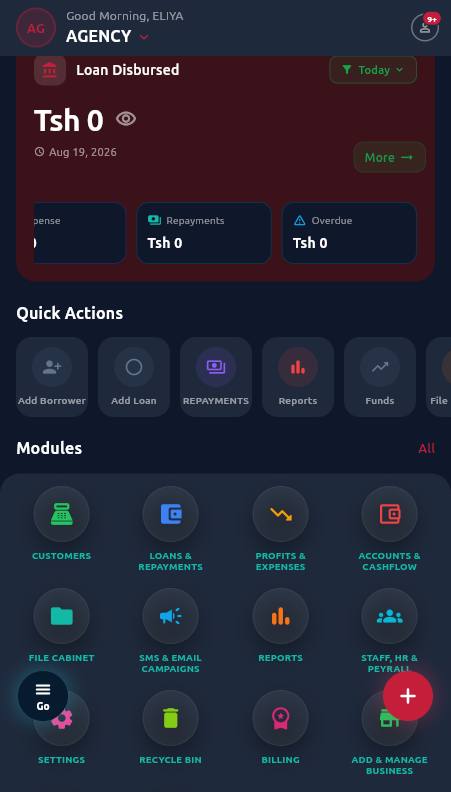 Elan Ledgers app — microfinance/loans dashboard